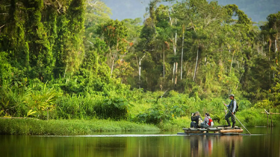 Parque Nacional del Manu: El Santuario de Vida Silvestre Más Biodiverso del Perú
